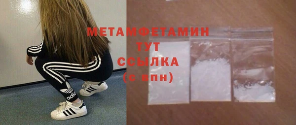 индика Новокубанск