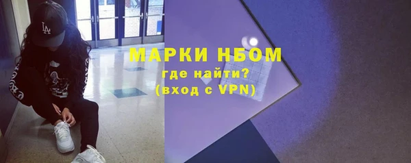 индика Новокубанск