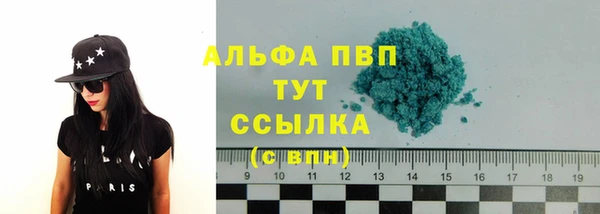 прущие крисы Новодвинск