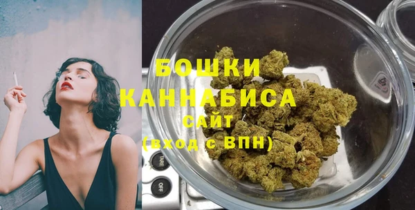 индика Новокубанск