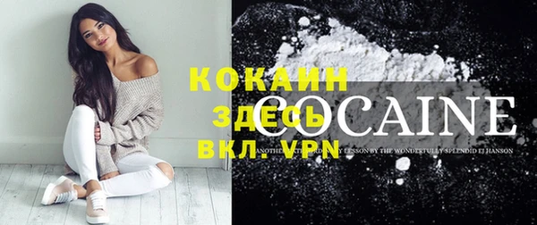 дживик Новозыбков