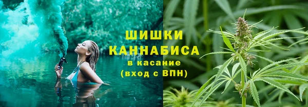 дживик Новозыбков