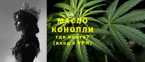 индика Новокубанск