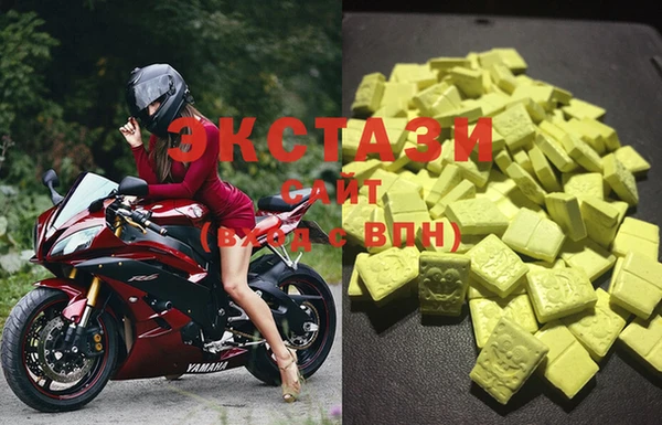 индика Новокубанск