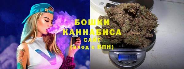 дживик Новозыбков