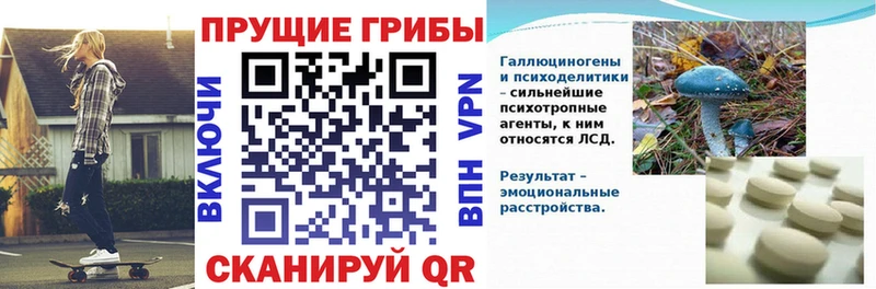 купить наркоту  МЕГА ссылки  площадка формула  Петушки  Псилоцибиновые грибы мицелий 
